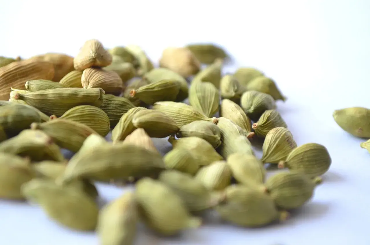 Cardamom Cardamom