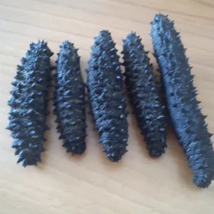 DRIED SEA CUCUMBERS
