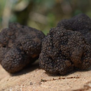 Dried Truffles