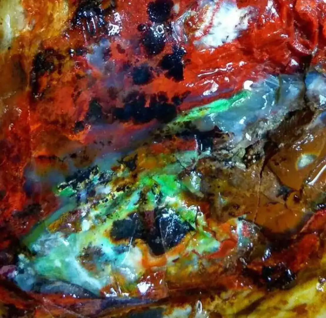 Opalized Wood