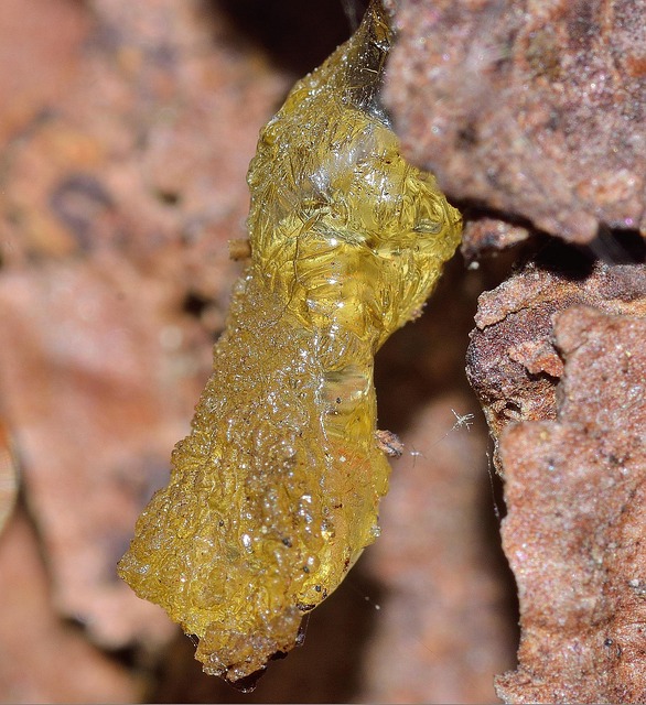 Pepper resin