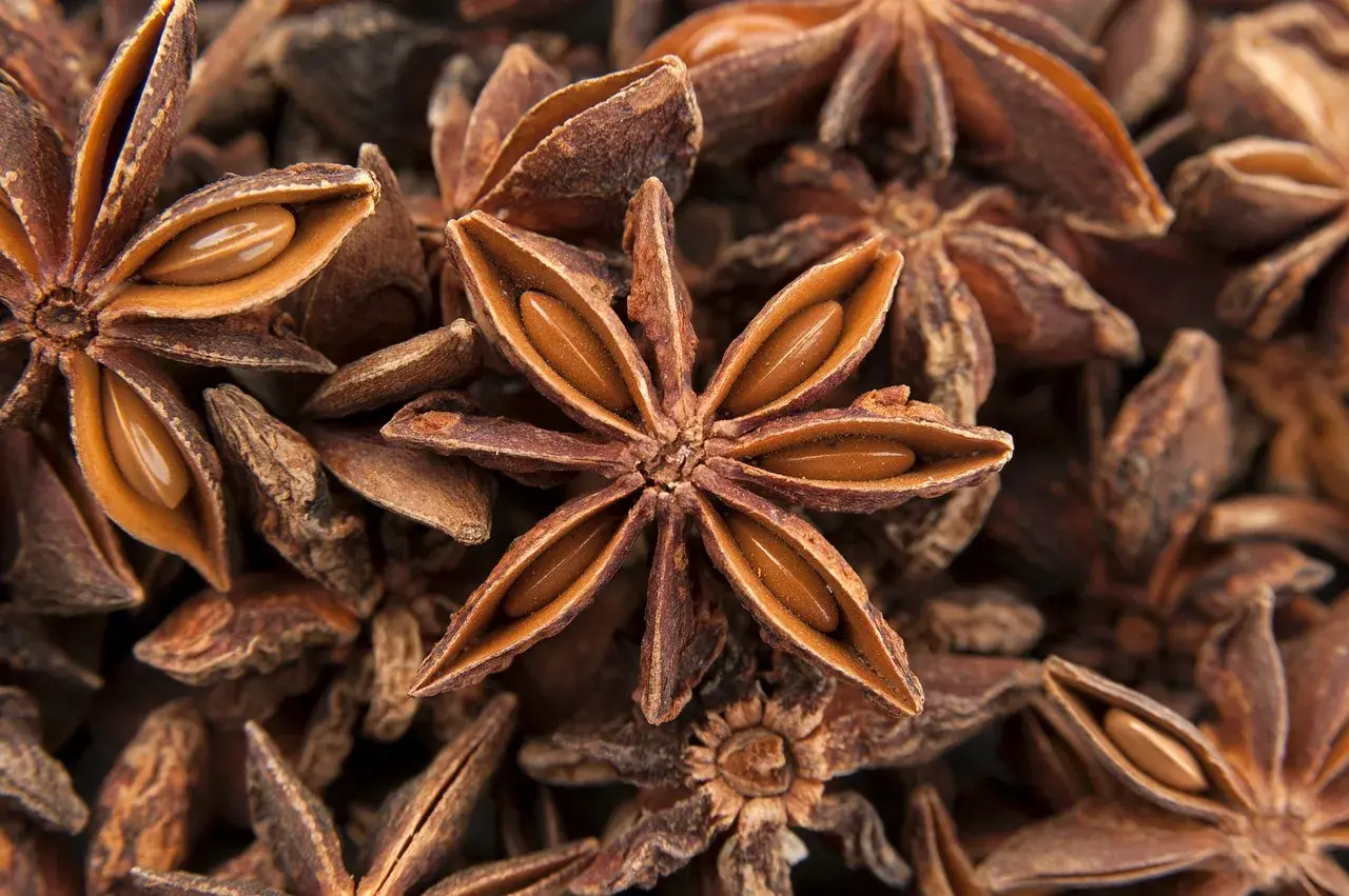 Star anise Star anise