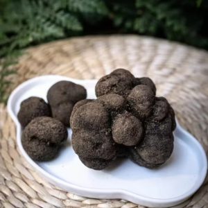 Tuber Indicum